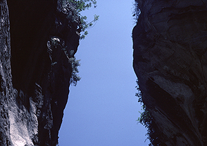 LEICA M3, SUMMICRON 2/50